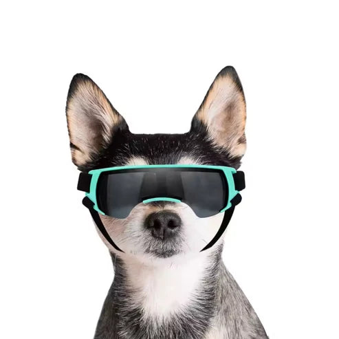 UV Pet Sunglass-Goggles